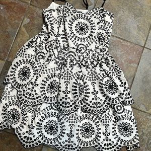 Express embroidered dress